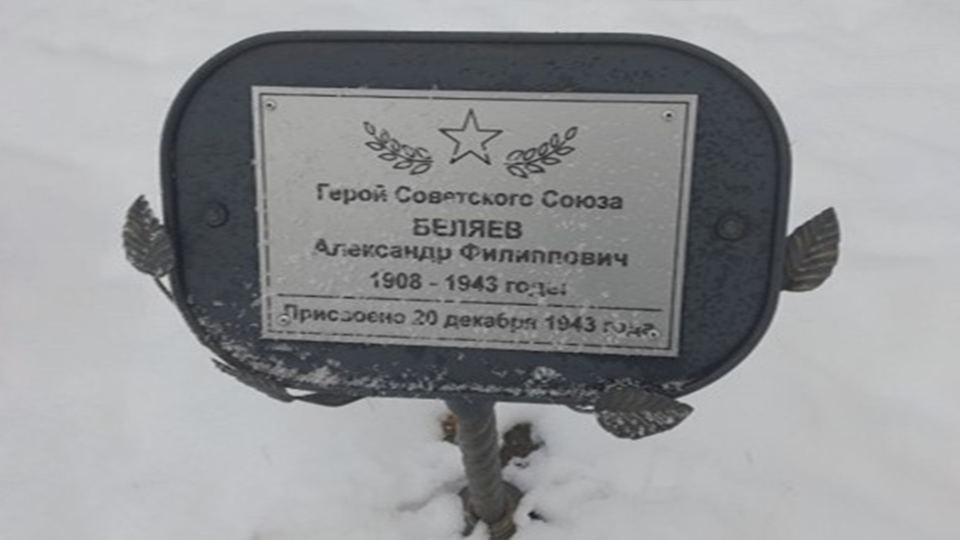 Аллея героям Великой Отечественной войны (20 мемориальных досок )